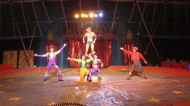 Spectacle de cirque pour un moment inoubliable